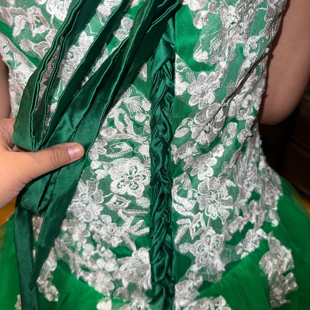 Big Green Gown ( If Interested And You Want More … - image 4